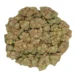 big bag of scout master strain cannabis flower