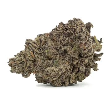 black mamba strain
