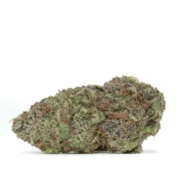 blackberry-strain