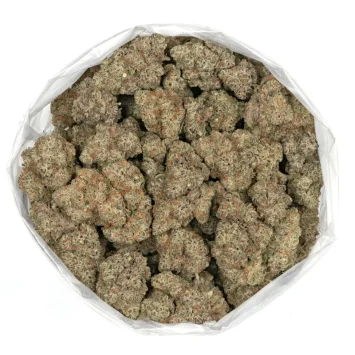 blueberry pancake strain premium cannabis flower