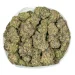 Bruce Banner - Image 2