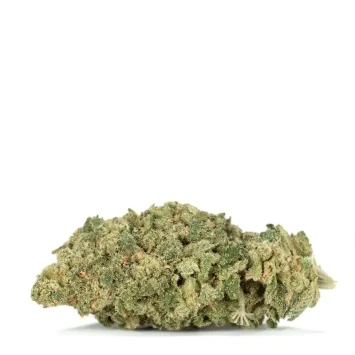 butterscotch-strain