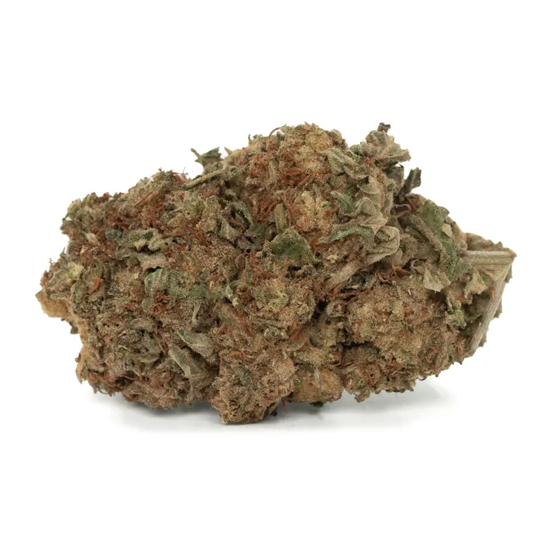 cactus breath strain cactus breath strain