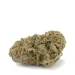 cannalope-haze-single-bud