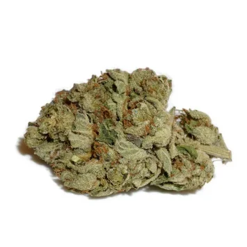 church-og-strain