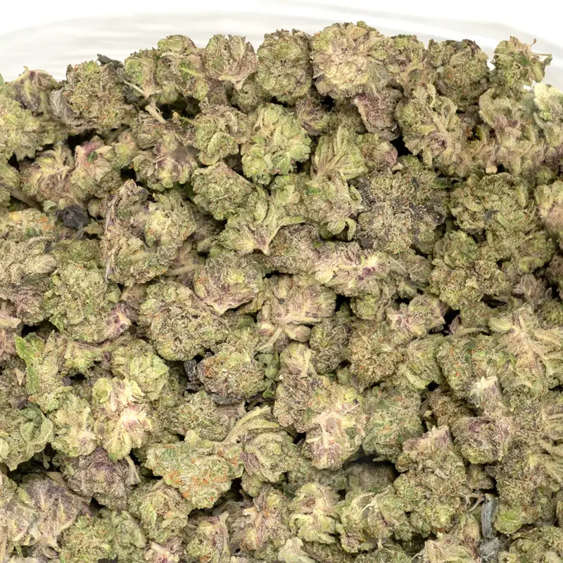 close up of 100s of purple octane buds