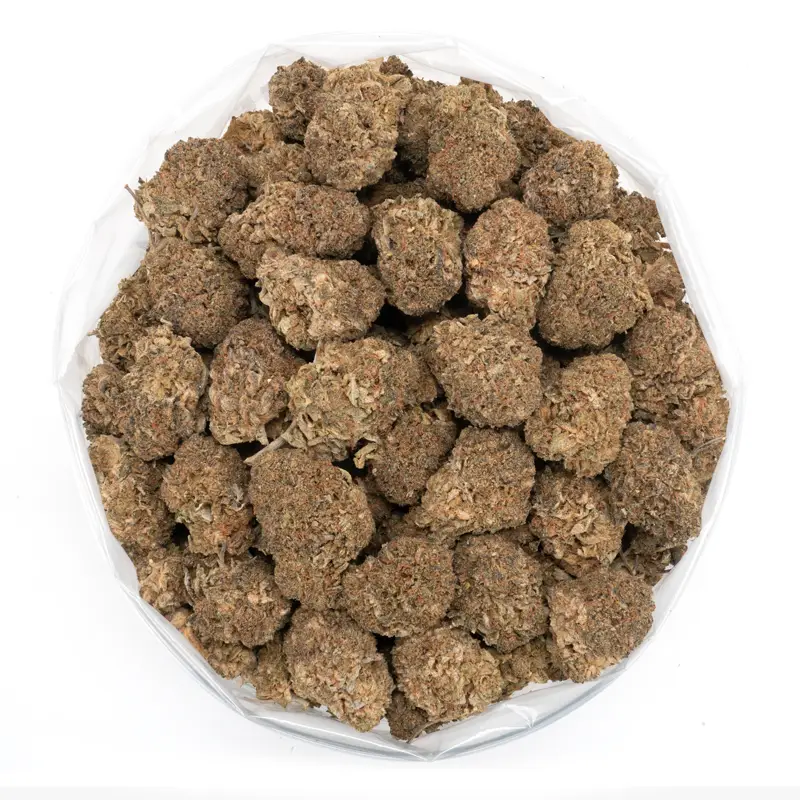 Chocolate Kush The Ultimate in Flavours and Relaxation