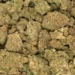 Tropicana Haze (popcorn) - Image 3