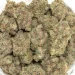 closeup-picture-of-TKPK-weed