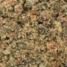 db shake closeup