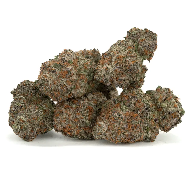 gastro-pop-5-bud-cluster-with-purple-frosty-trichomes gastro-pop-5-bud-cluster-with-purple-frosty-trichomes