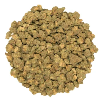 ghost gelato strain marijuana buds