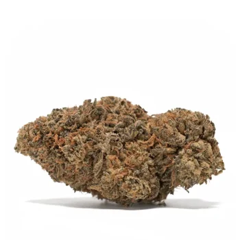 gods-gift-single-bud