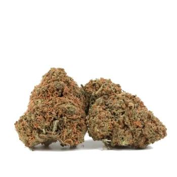 gorilla-berry marijuana buds