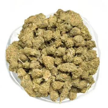 gorilla-glue