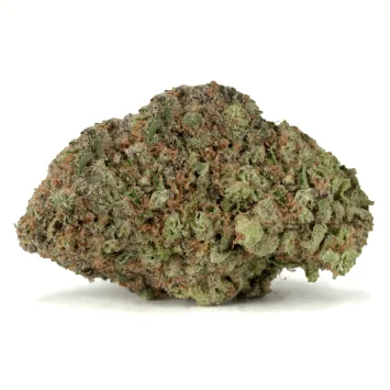 Greasy Runtz strain