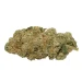 hawaiin-snow-strain