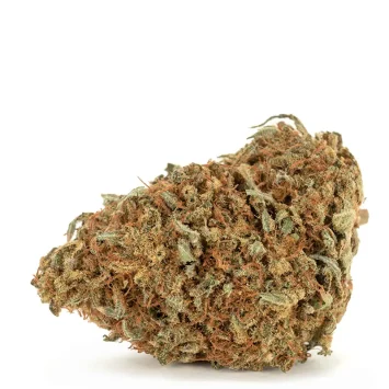 haze-strain-single-bud