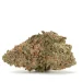 hempstar-strain-dense-bud-with-trichomes