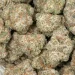 ice cream runtz weed macro closeup