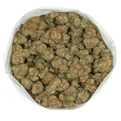 ice wine strain sticky cannabis flowers