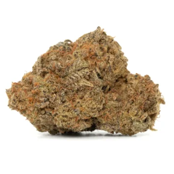 king louis strain