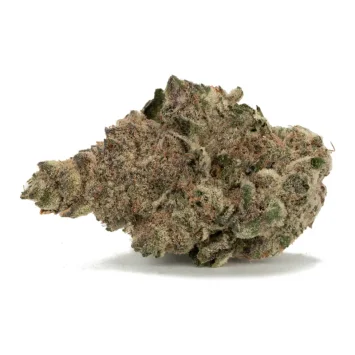 lemon cherry gelato strain