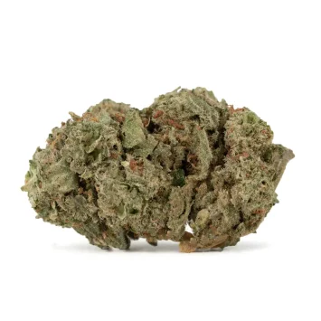 lemonatti strain dense bud