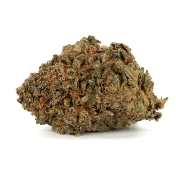 lemonberry strain single bud