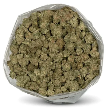 mac-1-standing-bulk