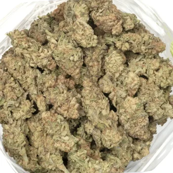 mac 10 strain marijuana buds