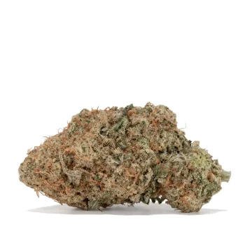 mac-daddy-single-bud