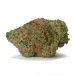 Mac Donuts weed strain
