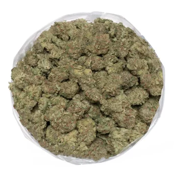 Pink Bubba