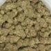 mk ultra resin covered cannabis buds