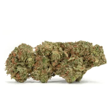 mk ultra strain