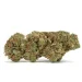 mk ultra strain