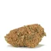orange-crush-marijuana-strain