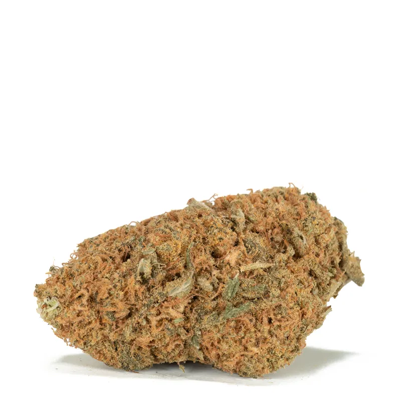 orange-crush-marijuana-strain