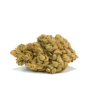 orange diesel marijuana strain