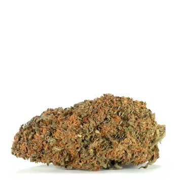 orangeade-strain