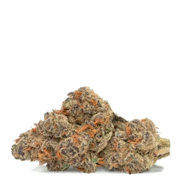 pave single bud