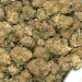 pineapple express marijuana strain bulk buds