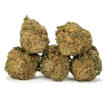 pineapple express strain