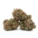 pink-kush