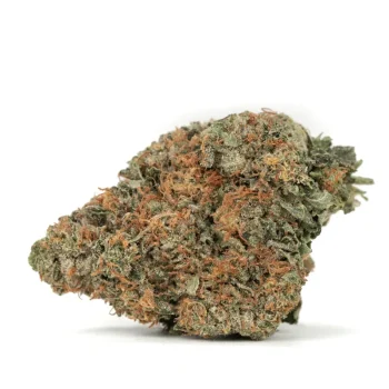 platinum kush strain