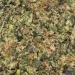 pnt-shake-detailed-closeup