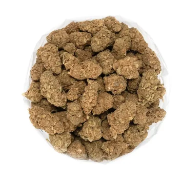 poison-fruit-strain-chunky-marijuana-buds