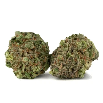 purple afghani two marijuana flowers