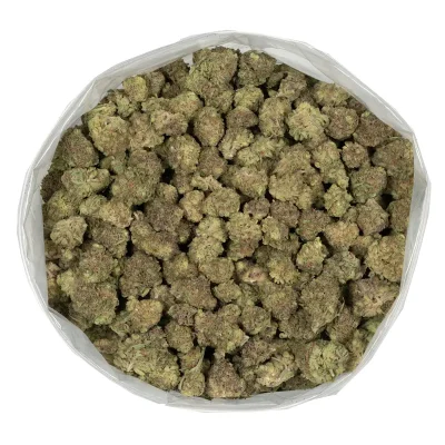 purple tropicana strain popcorn buds